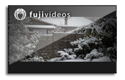 fujivideos