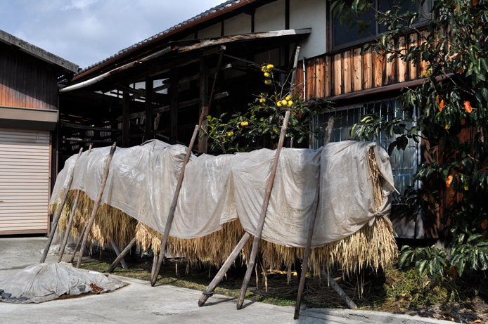 Shikoku COntryside 2