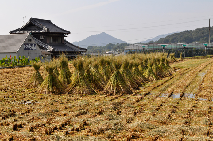 Shikoku Contryside 3