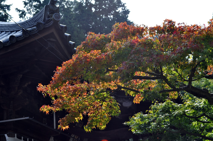 Shiramineji