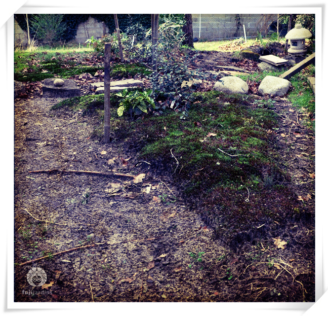 Roji, un jardin de thé en construction...