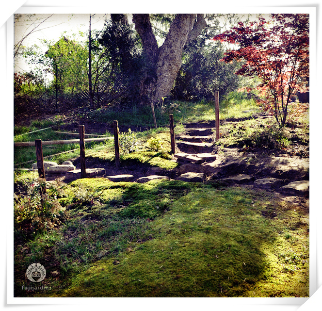 Fujijardins II - roji