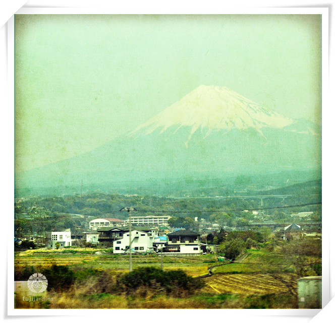 Fuji san