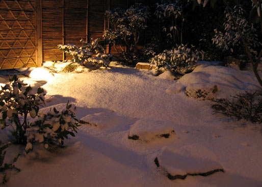 le sotoroji sous la neige